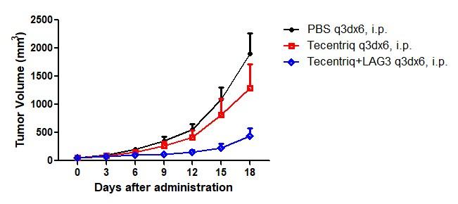 LAG3 Humanized Immune Checkpoint Mouse Model