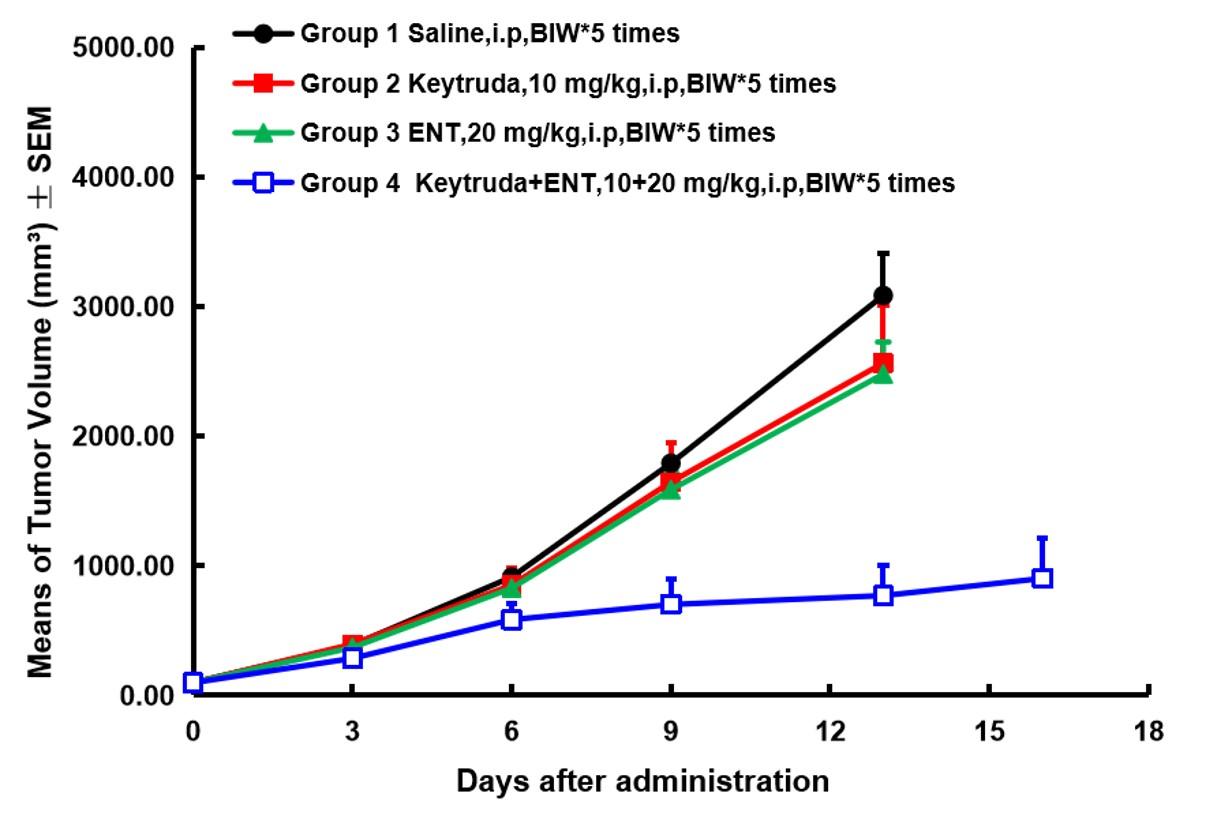 PD1 Humanized Immune Checkpoint Mouse Model