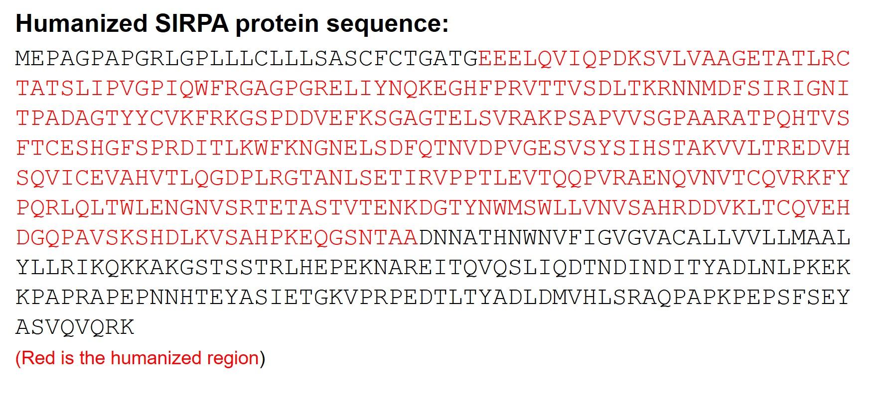 SIRPA Humanized Immune Checkpoint Mouse Model