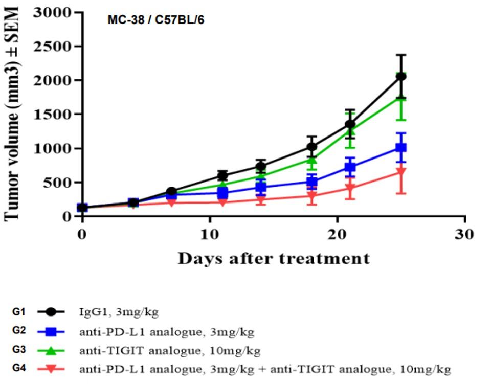 TIGIT Humanized Immune Checkpoint Mouse Model