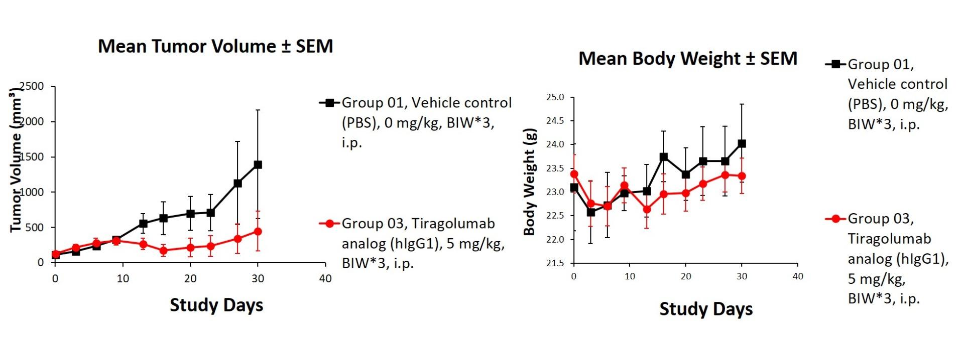 TIGIT Humanized Immune Checkpoint Mouse Model