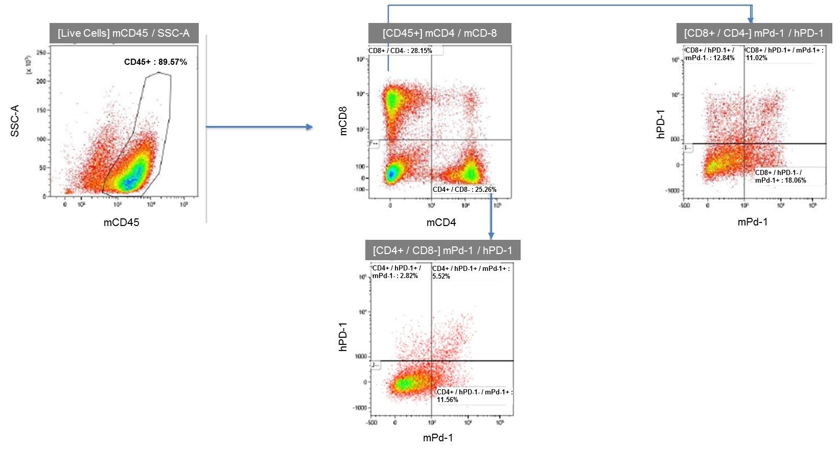 PD1&,TIM3 Double Humanized Immune Checkpoint Mouse Model