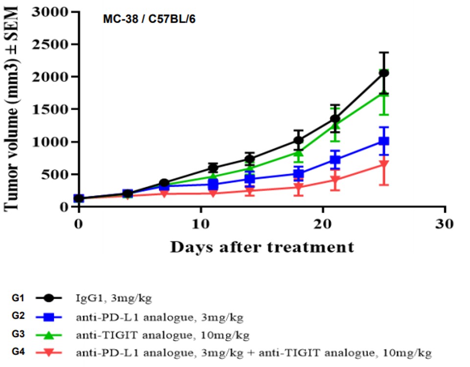 TIGIT Humanized Immune Checkpoint Mouse Model