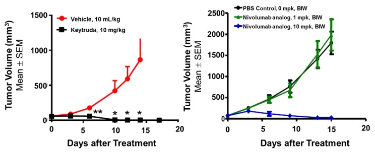 PD1&,TIM3 Humanized Immune Checkpoint Mouse Model
