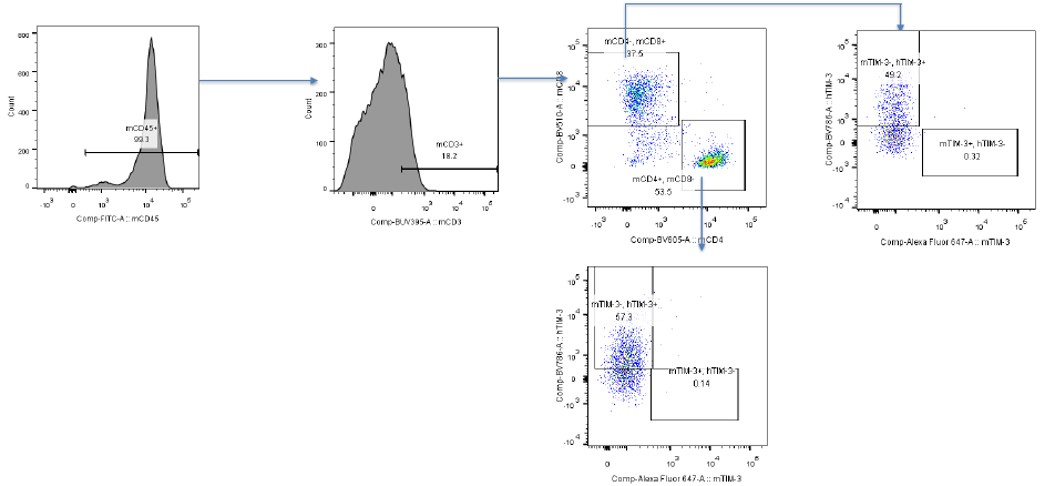 PD1&,TIM3 Humanized Immune Checkpoint Mouse Model