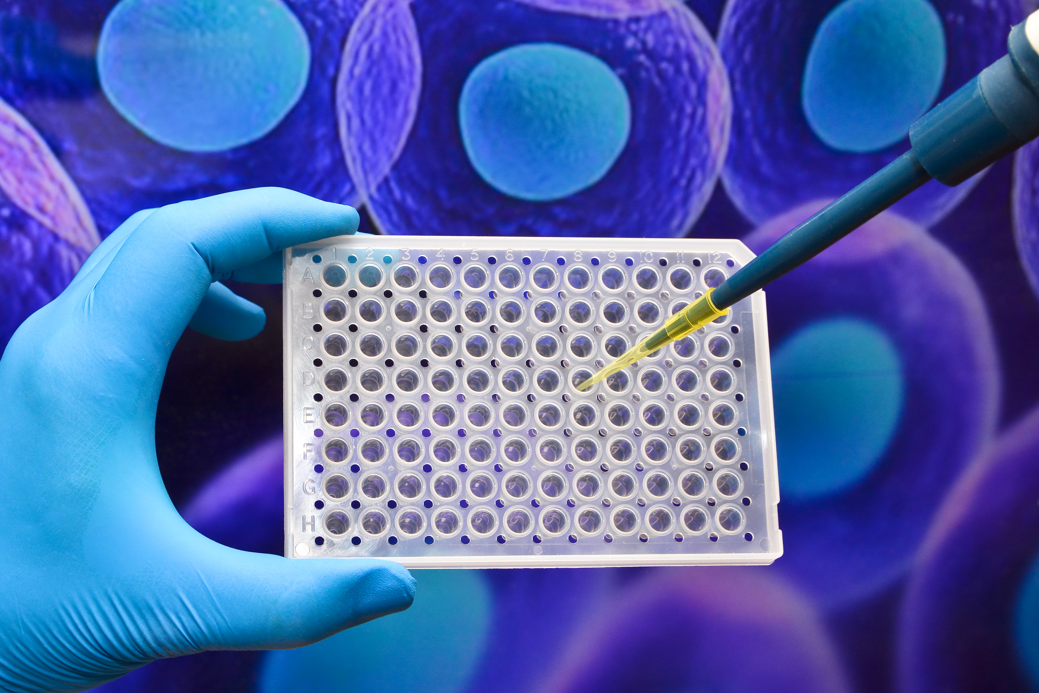 iPSC Differentiation 02